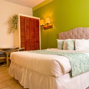 Standard Double/ Single Room